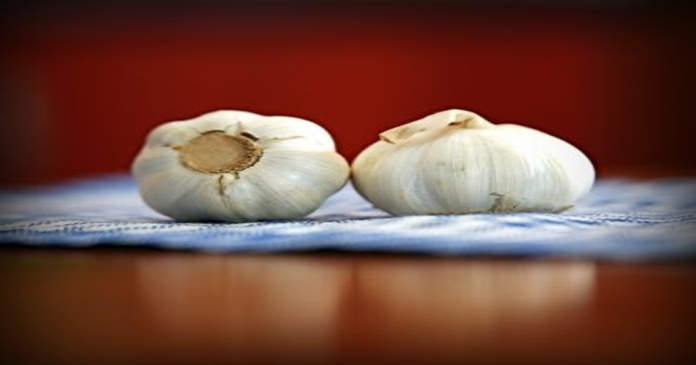 Advantages of garlic for hair development