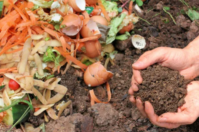 When and how to use compost in your kitchen garden