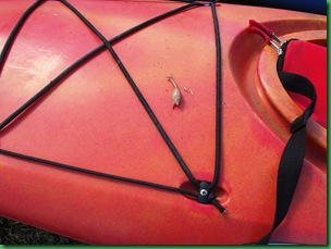 Kayak 003