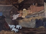 19 les vaches