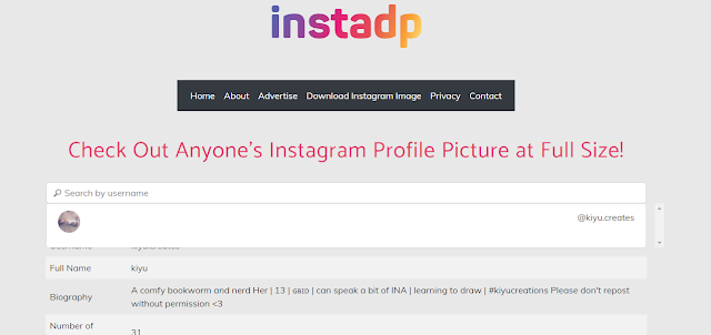 How to download / Open Instagram private profile picture online