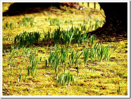17 Feb 4 17-02-2012 11-43-53