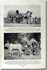 india photo history (9)