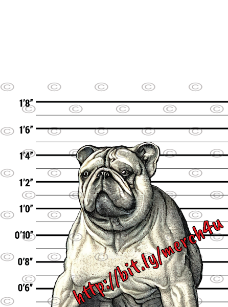 Bulldog Mugshot V