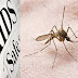 AIDS: Μπορούν τα κουνούπια να μεταδώσουν τον ιό HIV;