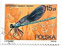 Selo Calopteryx splendens