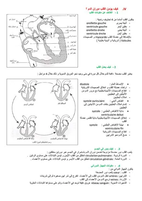 ملخص درس الدم والدوران الدموي علوم الحياة والارض لتلاميذ الثالثة إعدادي