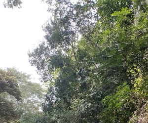 Propiedad 2.87 hectárea en Caño Seco, Cobano