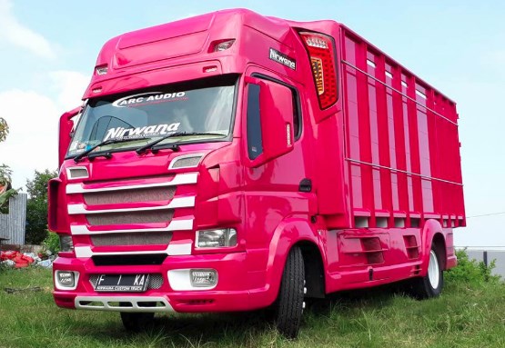 Canter modif scania - full variasi warna pink