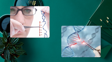 TEMA DE INTERES: MODIFICACIÓN GENETICA Y BIOMEDICA