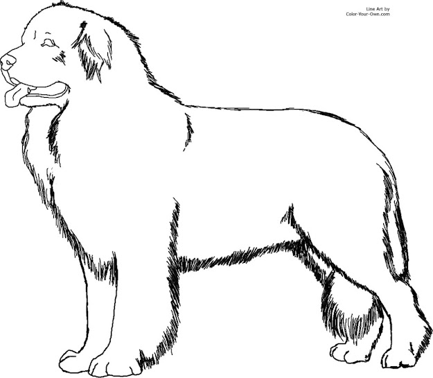 Newfoundland Dog Coloring Page Within Coloring Pages Dogs