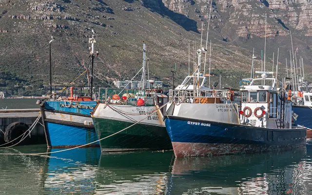 Fishing Boats Moored in the Hout Bay Harbour Cape Town