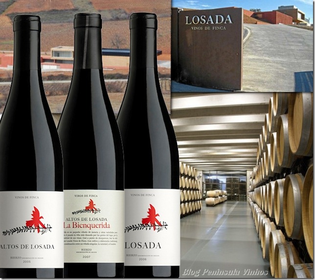 finca-losada-blog-peninsula-vinhos