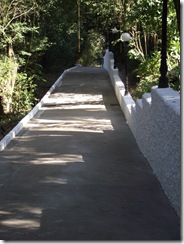 DSCF1419