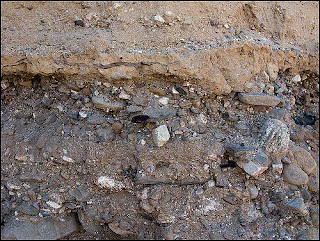 Depósitos bancários de aluviões - Geologia do ouro, indicadores naturais de ouro