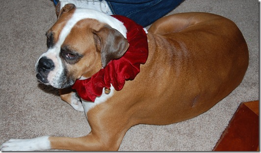 Christmas 2012 201