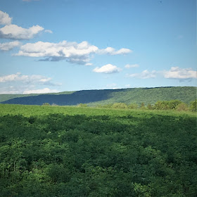 Climbing My Family Tree: Centre County, PA view from the Richard and Mary (Wilson) Bailey