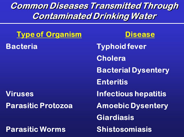 Causes and Types of Dysentery