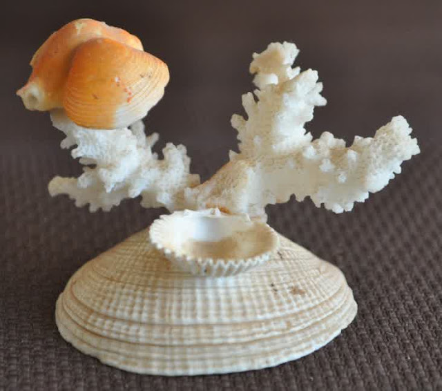 Seashell craft to make