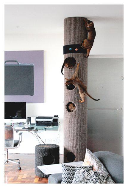 92 Desain  Kandang  Kucing  Tingkat dari  Kayu  Besi dan 