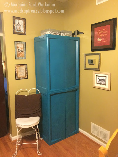 teal craft storage cabinets in dining room