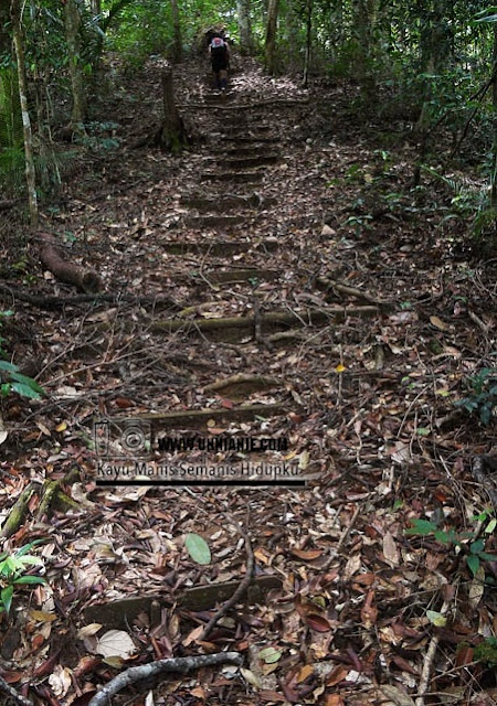 Pengalaman Mendaki Gunung Lucia Tawau Part 1 