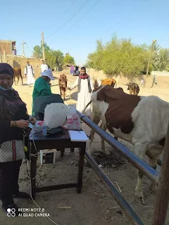 الزراعة قوافل بيطرية لفحص وعلاج مواشي صغار المزارعين مجانا في محافظتي قنا وأسوان