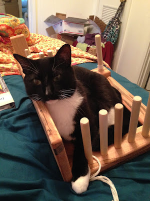 A black-and-white tuxedo cat lounging in a tipped-over inkle loom on a teal-sheeted bed.