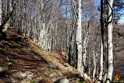 Ascensió al Costabona per les mines