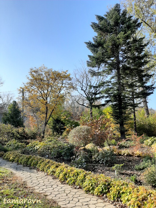 В ботаническом саду (20 октября)
