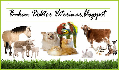 Bukan doktor veterinar: July 2011