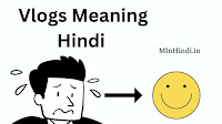 Vlogs Meaning In Hindi With Example
