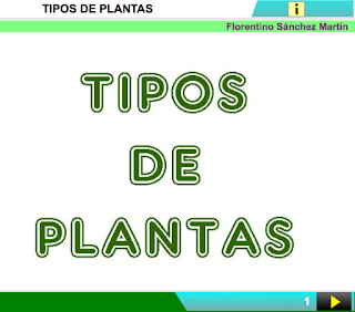 http://www.ceiploreto.es/sugerencias/cplosangeles.juntaextremadura.net/web/segundo_curso/naturales_2/plantas_tipos02/plantas_tipos02.html