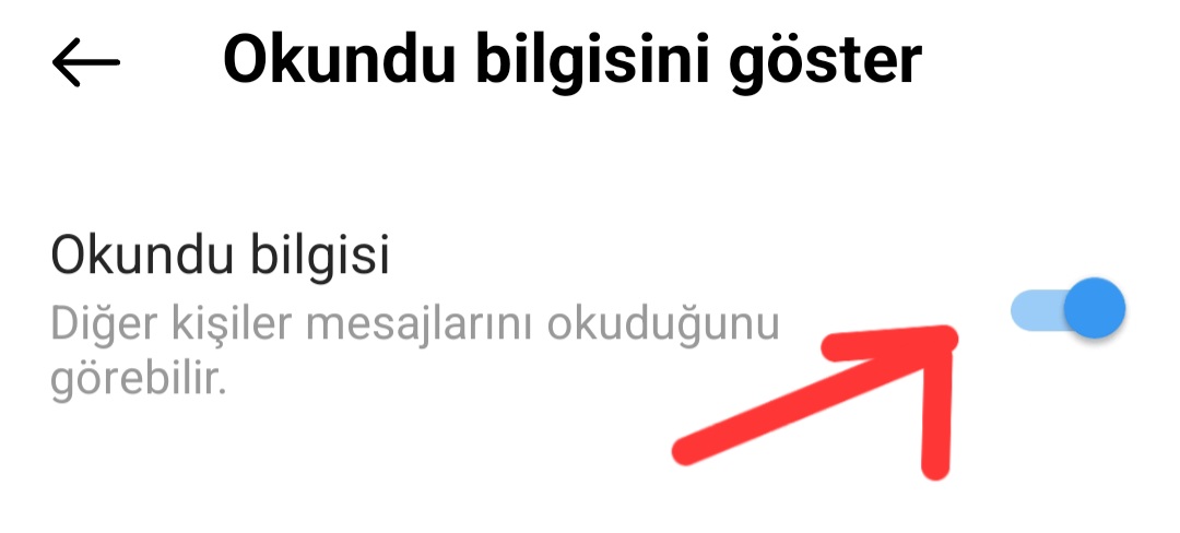 İnstagram okundu bilgisini kapatma