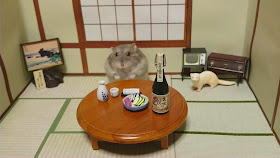 Cute tiny hamsters running their own businesses (19 pics), hamster serving drink and food, hamster with miniature store