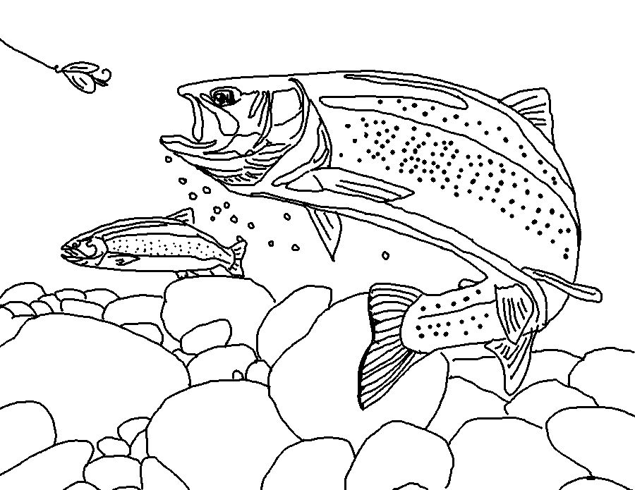 Fly Fishing Coloring Pages 4