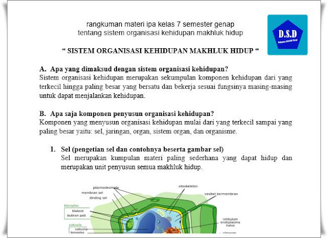 Rangkuman Materi IPA tentang Sistem Organisasi Kehidupan Makhluk Hidup