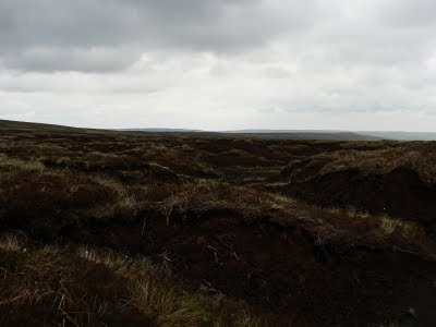 Large areas of peat hags are often found on the high North Pennine moors