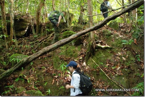 hiking_in_Santubong_05