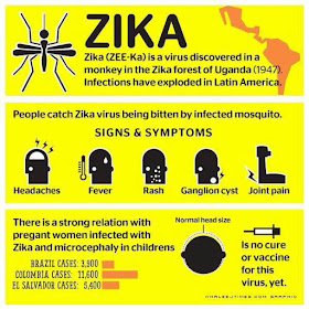  Zika Virus - iYi