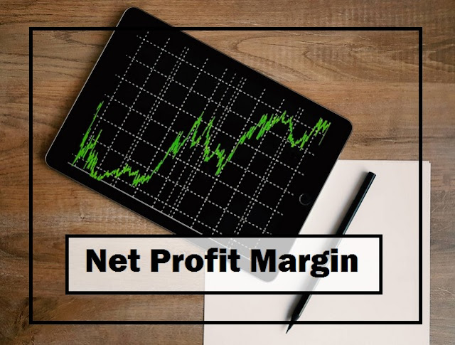 rumus rnet profit margin