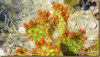 Bouquillas Canyon_018