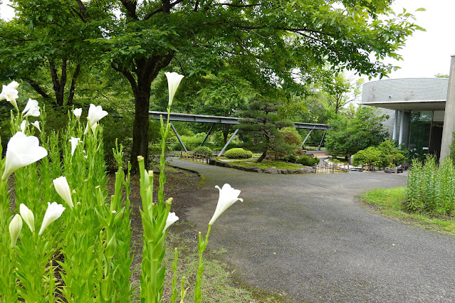 鳥取県西伯郡南部町鶴田　とっとり花回廊