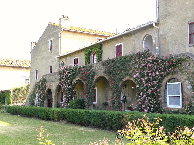 sulla strada per Bolgheri