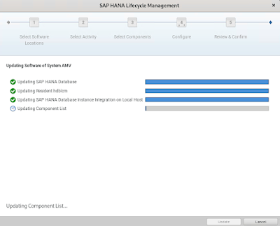 Updating an SAP HANA System Landscape - Overview