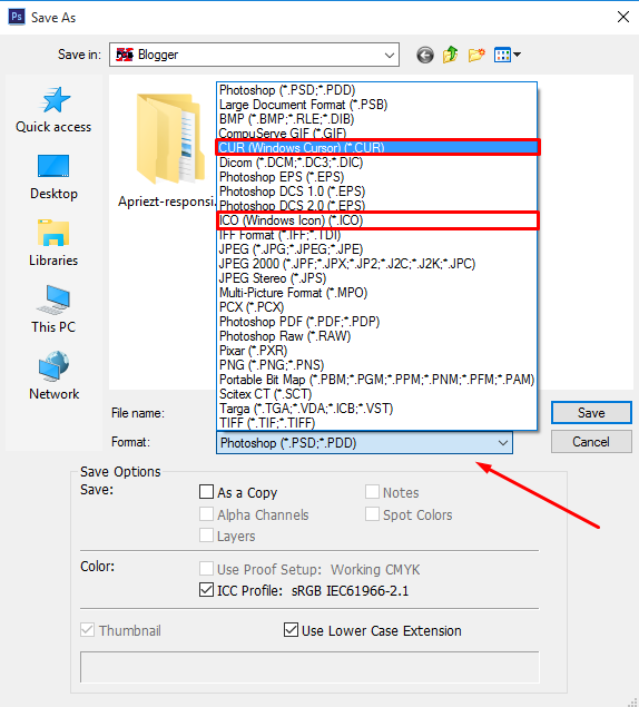 File Format