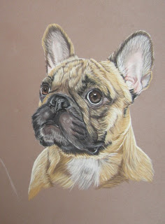 portrait bouledogue