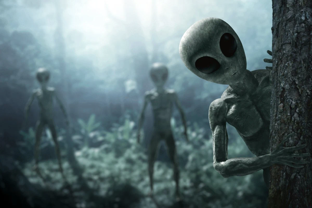 Scientists told how dangerous a meeting with aliens for humanity