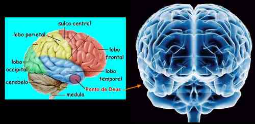 Resultado de imagem para o ponto deus no cerebro