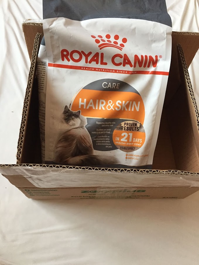 Yeni Mamaya Geçiş: Royal Canin Hair & Skin